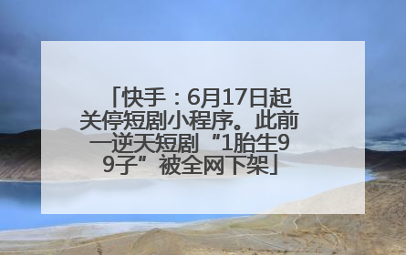 快手：6月17日起关停短剧小程序。此前一逆天短剧“1胎生99子”被全网下架
