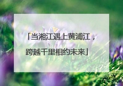 当湘江遇上黄浦江，跨越千里相约未来