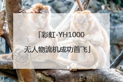 彩虹-YH1000无人物流机成功首飞
