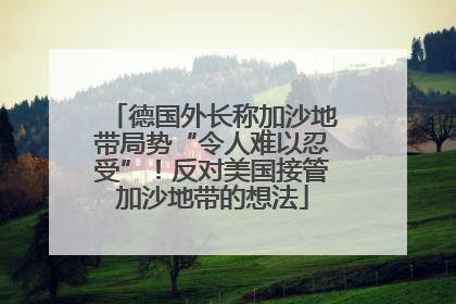 德国外长称加沙地带局势“令人难以忍受”！反对美国接管加沙地带的想法