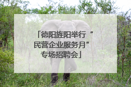 德阳旌阳举行“民营企业服务月”专场招聘会