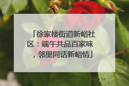 徐家楼街道新峪社区：端午共品百家味，邻里同话新峪情