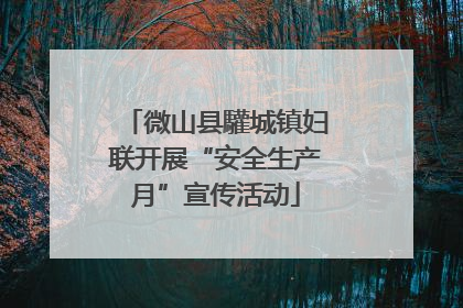 微山县驩城镇妇联开展“安全生产月”宣传活动