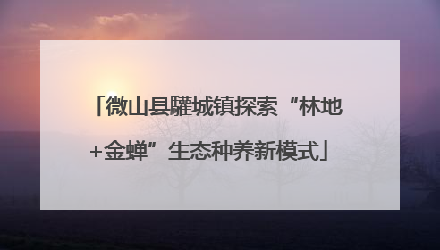 微山县驩城镇探索“林地+金蝉”生态种养新模式