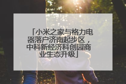 小米之家与格力电器落户济南起步区，中科新经济科创园商业生态升级