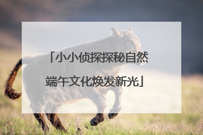 小小侦探探秘自然 端午文化焕发新光