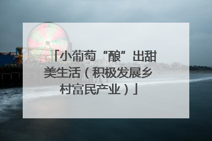 小葡萄“酿”出甜美生活（积极发展乡村富民产业）