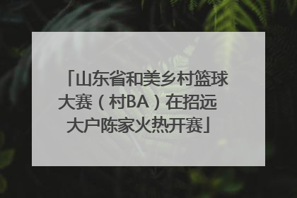 山东省和美乡村篮球大赛（村BA）在招远大户陈家火热开赛