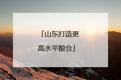 山东打造更高水平粮仓