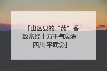 山区县的“药”香致富经丨万千气象看四川·平武③