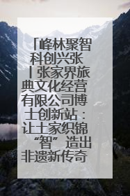 峰林聚智 科创兴张丨张家界旅典文化经营有限公司博士创新站：让土家织锦“智”造出非遗新传奇