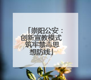 崇阳公安：创新宣教模式 筑牢禁毒思想防线