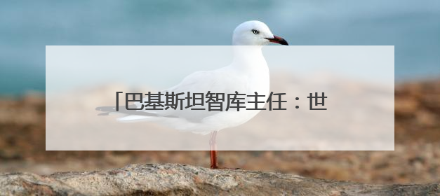 巴基斯坦智库主任：世界不确定性加剧，中国是全球“稳定之锚”