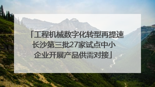 工程机械数字化转型再提速 长沙第三批27家试点中小企业开展产品供需对接