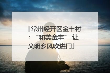 常州经开区金丰村：“和美金丰” 让文明乡风吹进门