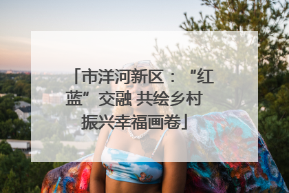 市洋河新区：“红蓝”交融 共绘乡村振兴幸福画卷