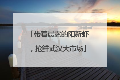 带着晨露的阳新虾，抢鲜武汉大市场