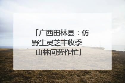 广西田林县：仿野生灵芝丰收季 山林间劳作忙