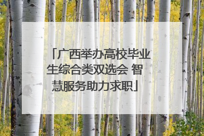 广西举办高校毕业生综合类双选会 智慧服务助力求职