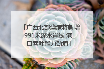 广西北部湾港将新增991米深水岸线 港口吞吐能力劲增