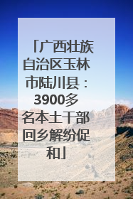 广西壮族自治区玉林市陆川县：3900多名本土干部回乡解纷促和