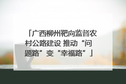 广西柳州靶向监督农村公路建设 推动“问题路”变“幸福路”