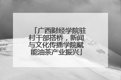 广西财经学院驻村干部搭桥，新闻与文化传播学院赋能油茶产业振兴