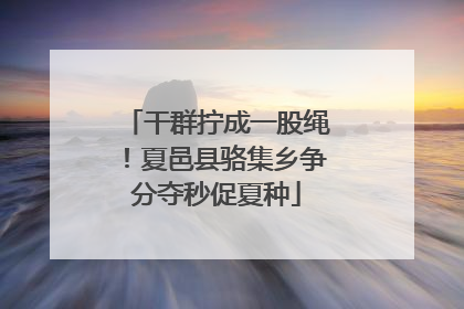 干群拧成一股绳！夏邑县骆集乡争分夺秒促夏种