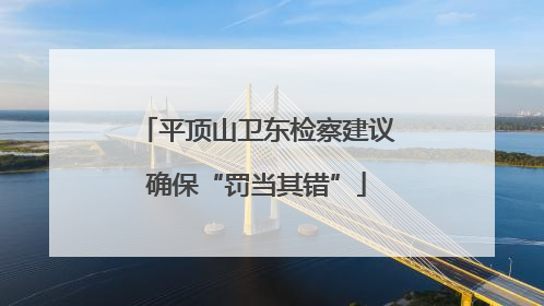 平顶山卫东检察建议确保“罚当其错”