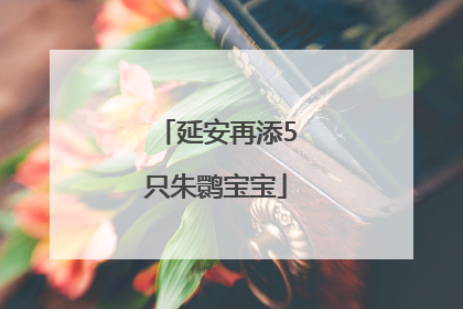 延安再添5只朱鹮宝宝