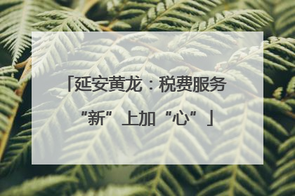 延安黄龙：税费服务“新”上加“心”