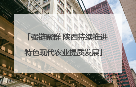 强链聚群 陕西持续推进特色现代农业提质发展