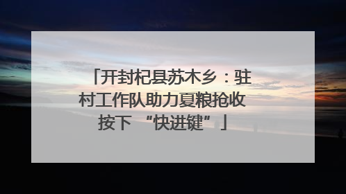 开封杞县苏木乡：驻村工作队助力夏粮抢收按下 “快进键”