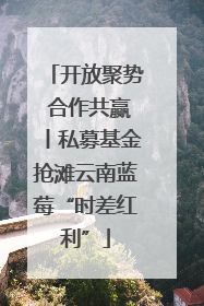 开放聚势 合作共赢丨私募基金抢滩云南蓝莓“时差红利”