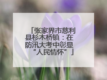 张家界市慈利县杉木桥镇：在防汛大考中彰显“人民情怀”
