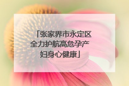 张家界市永定区全力护航高危孕产妇身心健康