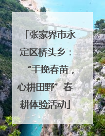 张家界市永定区桥头乡：“手挽春苗，心耕田野”春耕体验活动