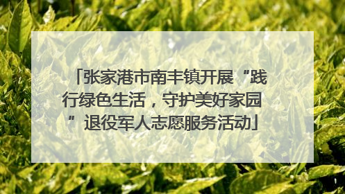 张家港市南丰镇开展“践行绿色生活，守护美好家园”退役军人志愿服务活动