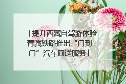 提升西藏自驾游体验 青藏铁路推出“门到门”汽车回送服务