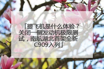 提飞机是什么体验？关闭一侧发动机极限测试，南航湖北首架全新C909入列