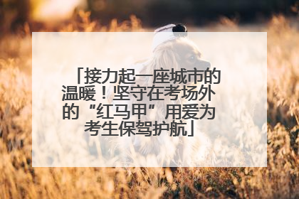 接力起一座城市的温暖！坚守在考场外的“红马甲”用爱为考生保驾护航