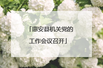 惠安县机关党的工作会议召开