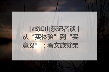 感知山东记者谈｜从“买体验”到“买意义”：看文旅繁荣背后的幸福新定义
