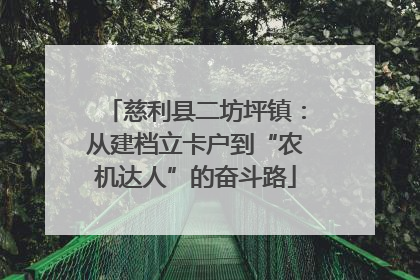 慈利县二坊坪镇：从建档立卡户到“农机达人”的奋斗路