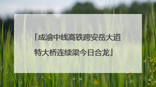成渝中线高铁跨安岳大道特大桥连续梁今日合龙