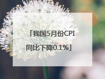 我国5月份CPI同比下降0.1%