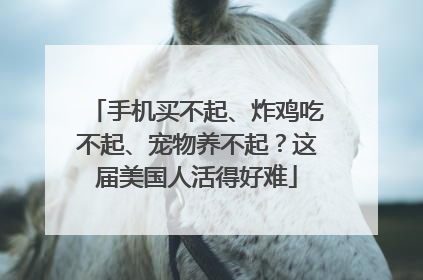 手机买不起、炸鸡吃不起、宠物养不起？这届美国人活得好难