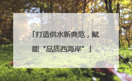 打造供水新典范，赋能“品质西海岸”