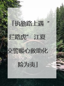 执勤路上遇“拦路虎” 江夏交警暖心救助化险为夷