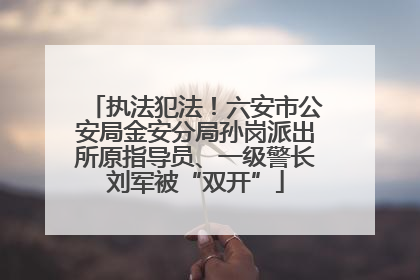 执法犯法！六安市公安局金安分局孙岗派出所原指导员、一级警长刘军被“双开”